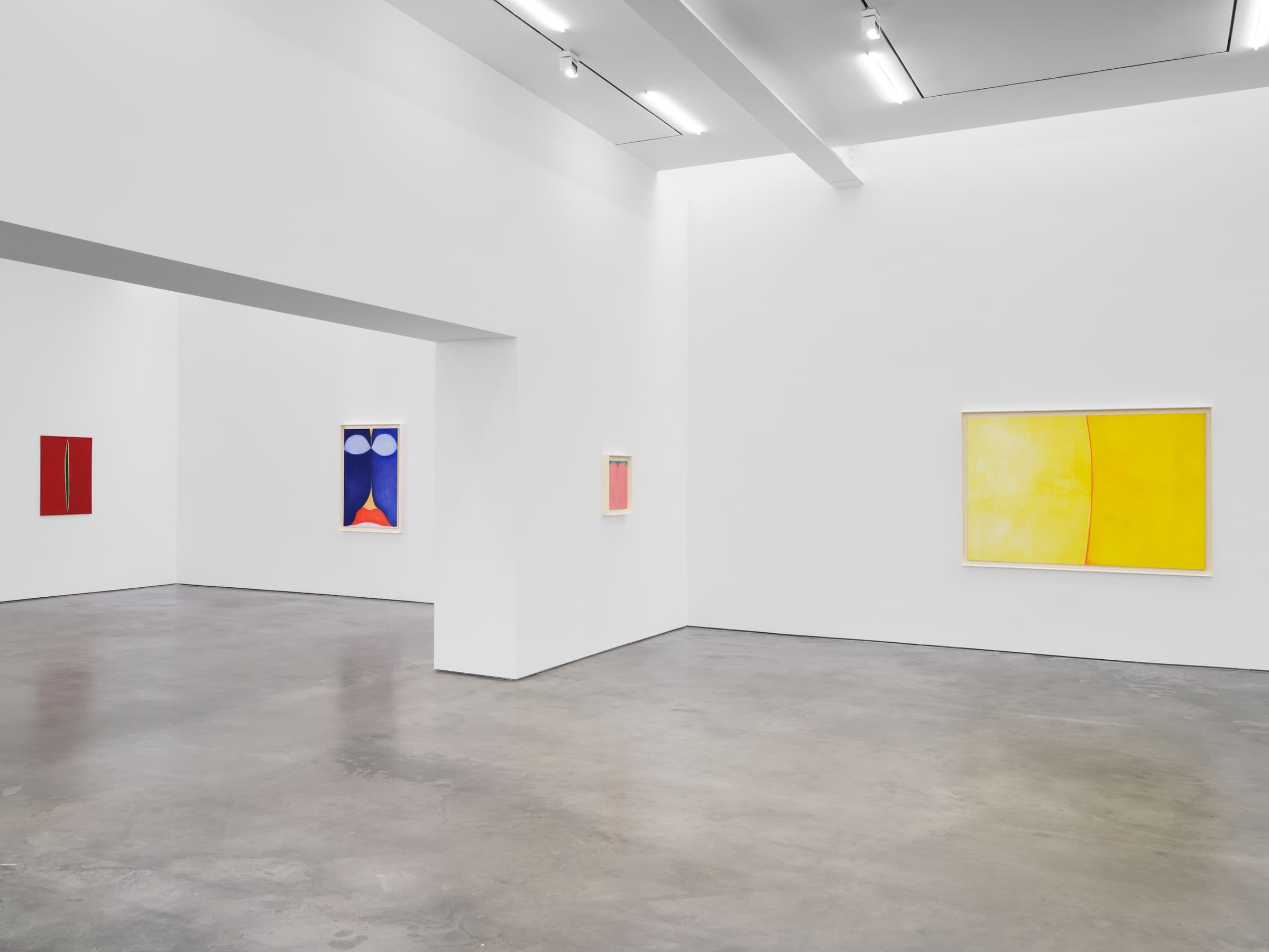 Installation view