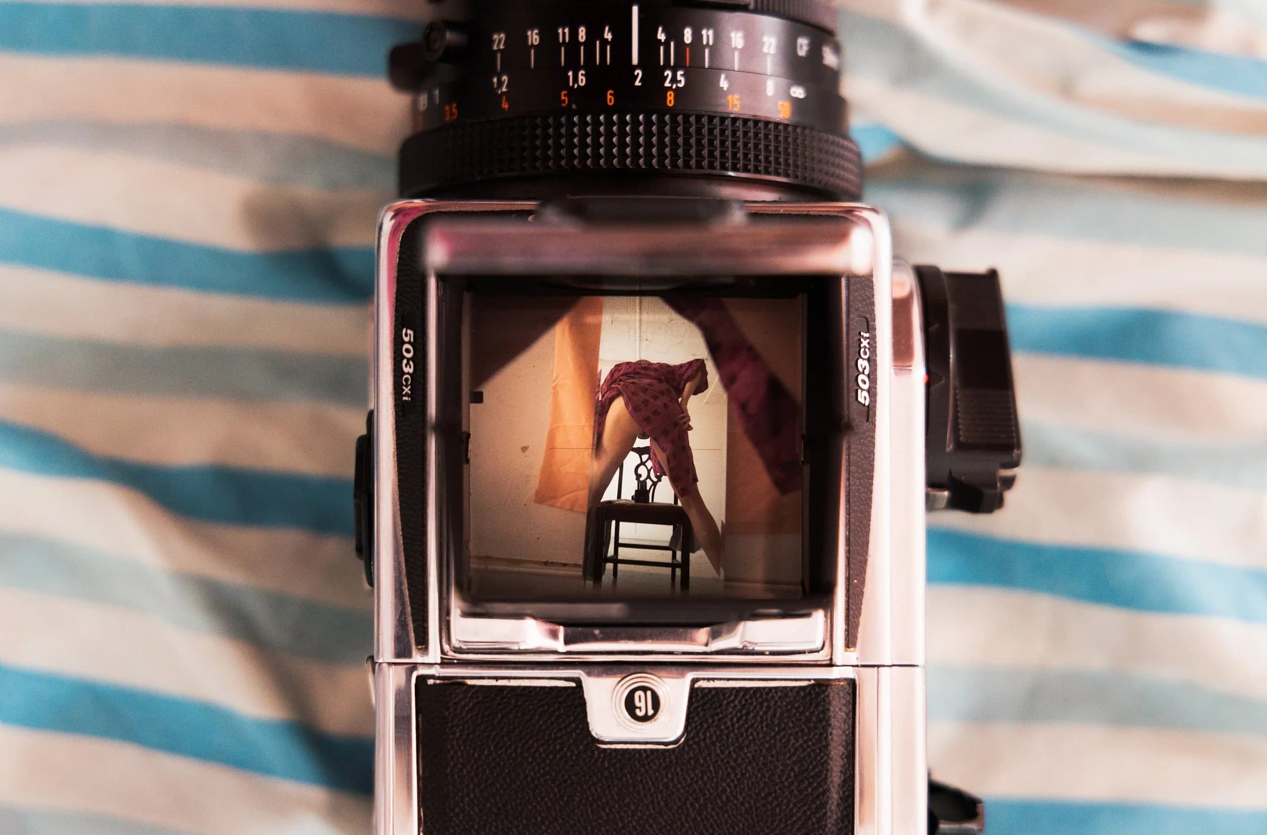 Cortney Andrews: Soft Proof