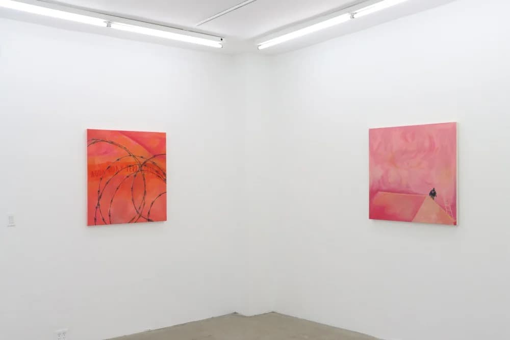 Installation view