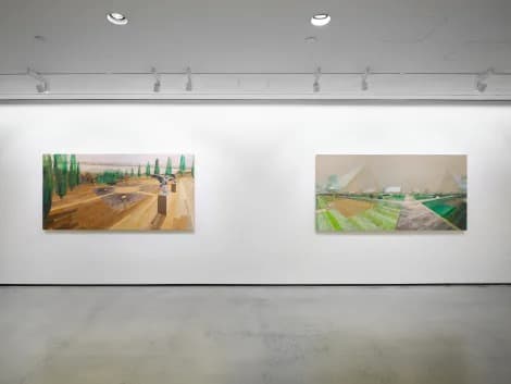 Installation view