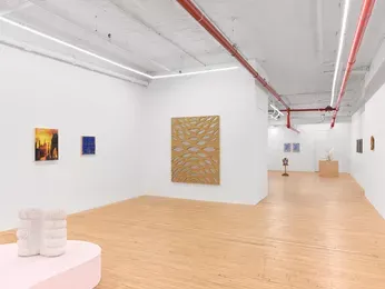 Installation view