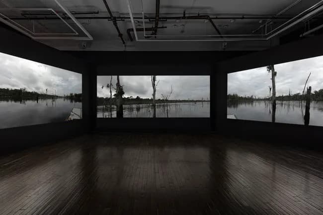 Installation view 4 of 5