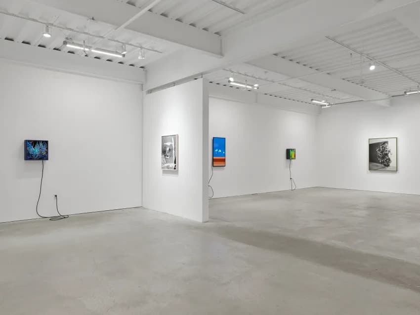 Installation view