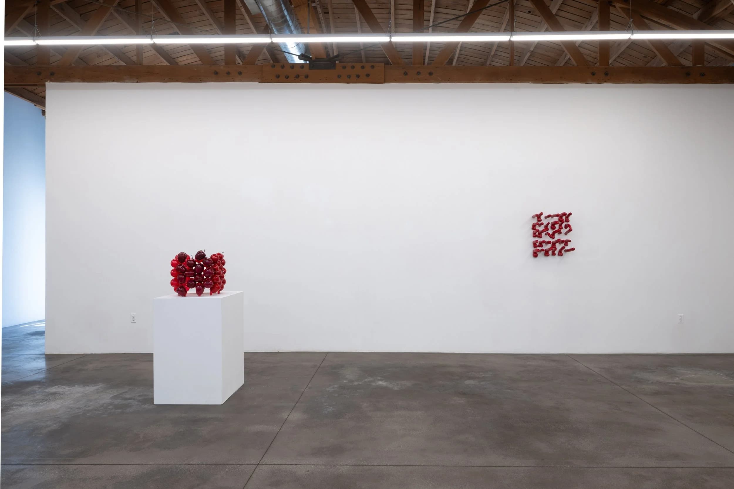 Installation view