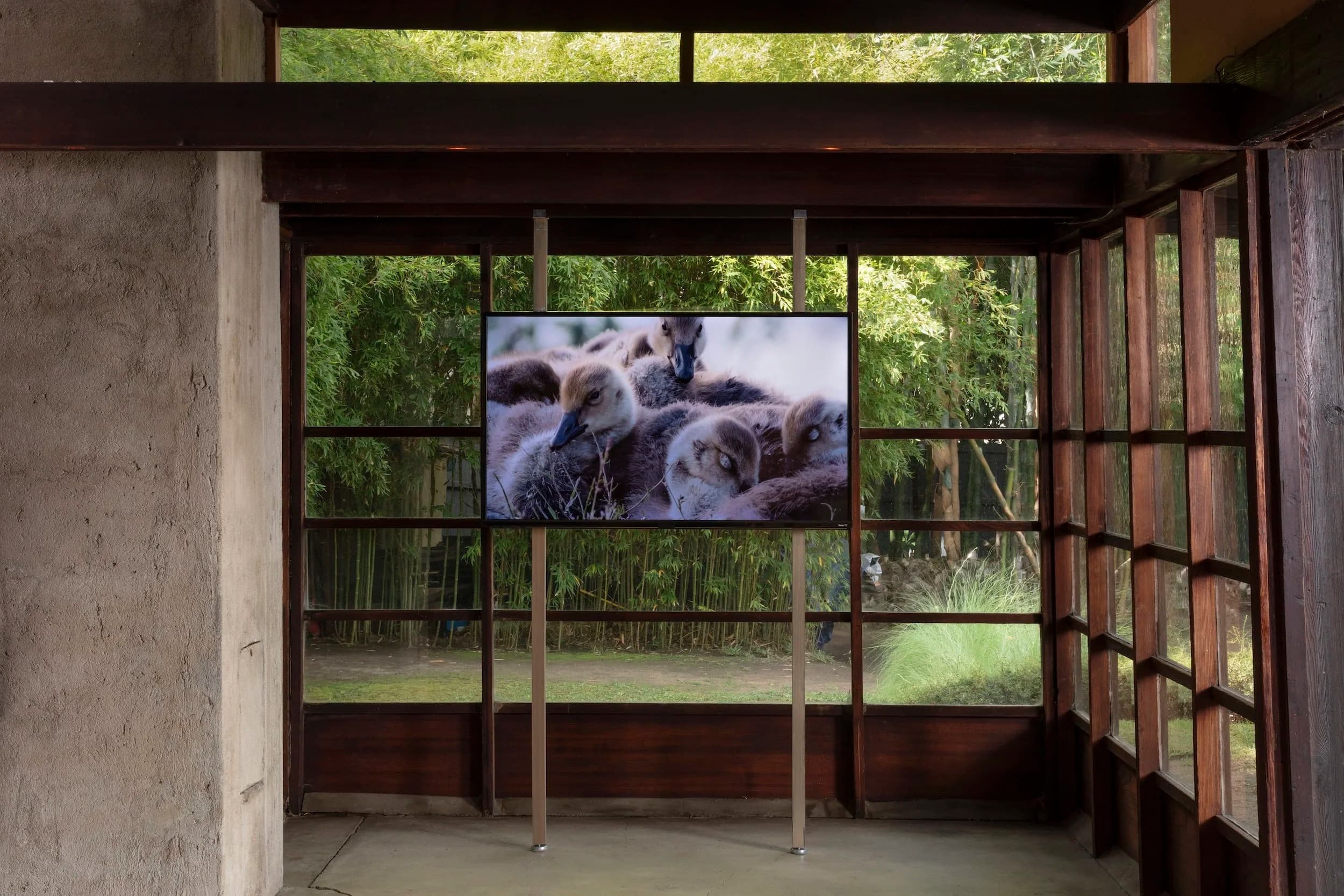Installation view