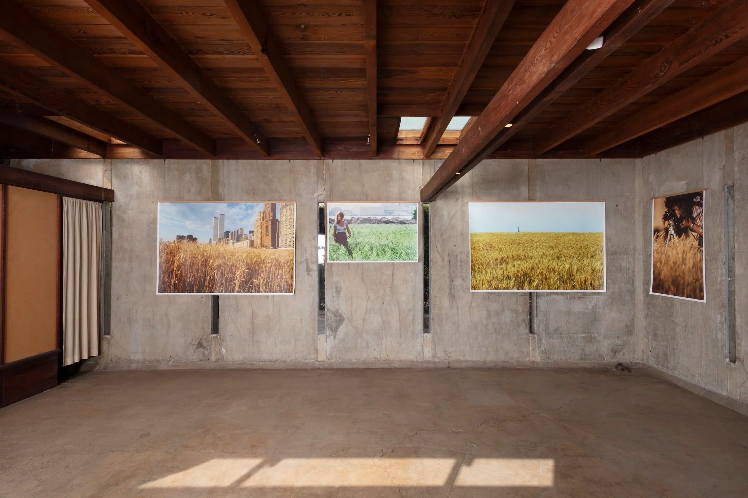 Installation view