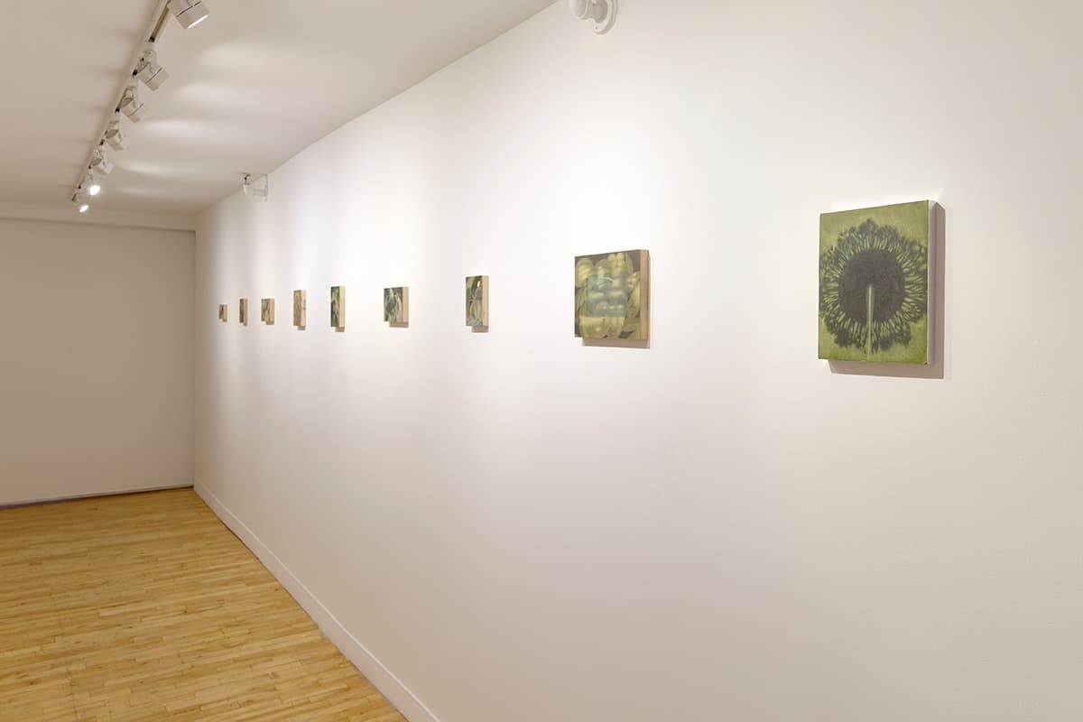 Installation view