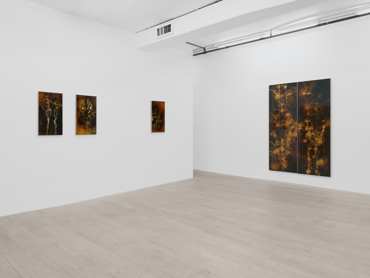 Installation view