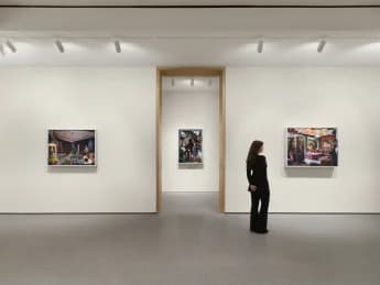 Installation view 1 of 13