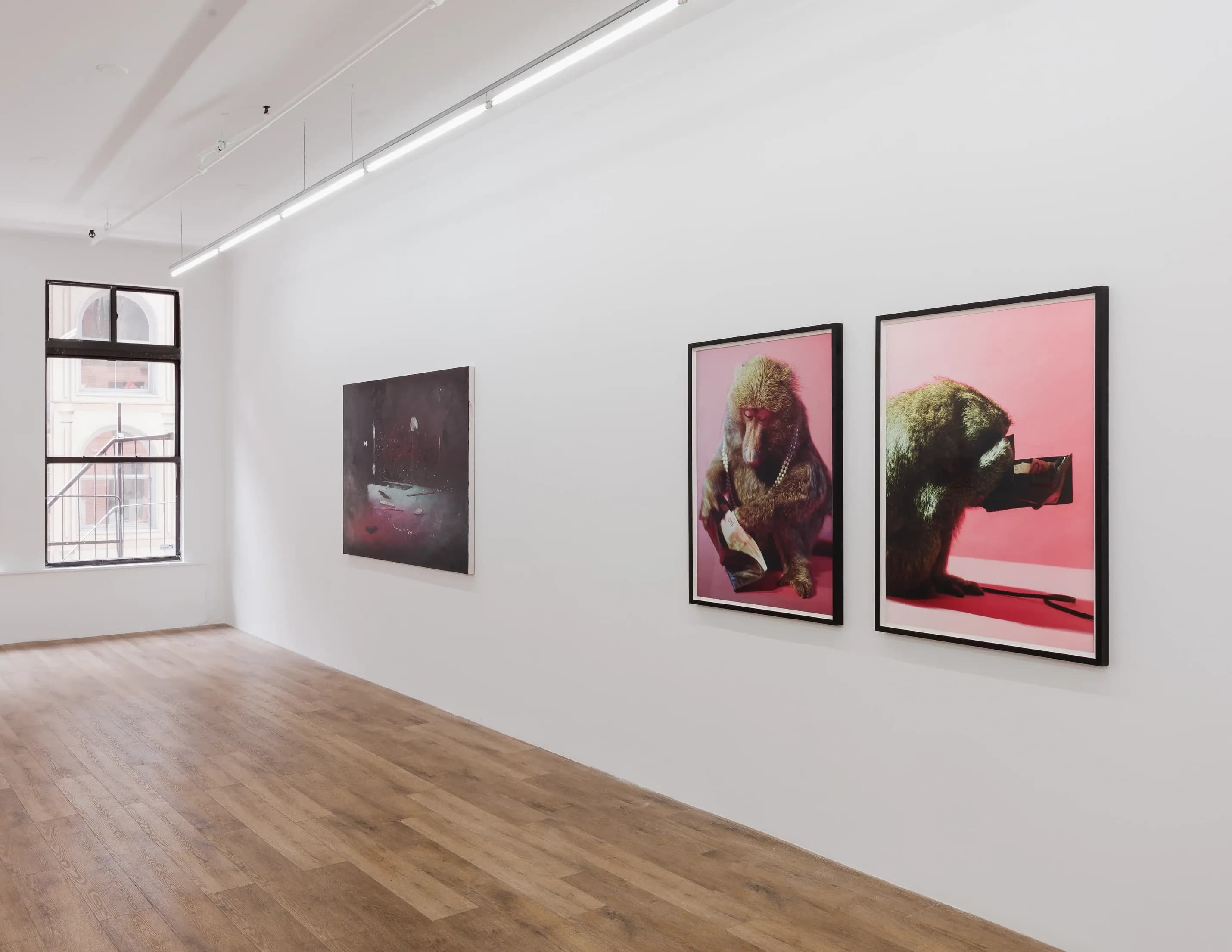 Installation view