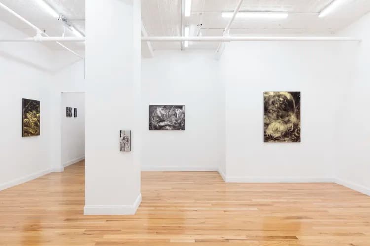 Installation view 5 of 5