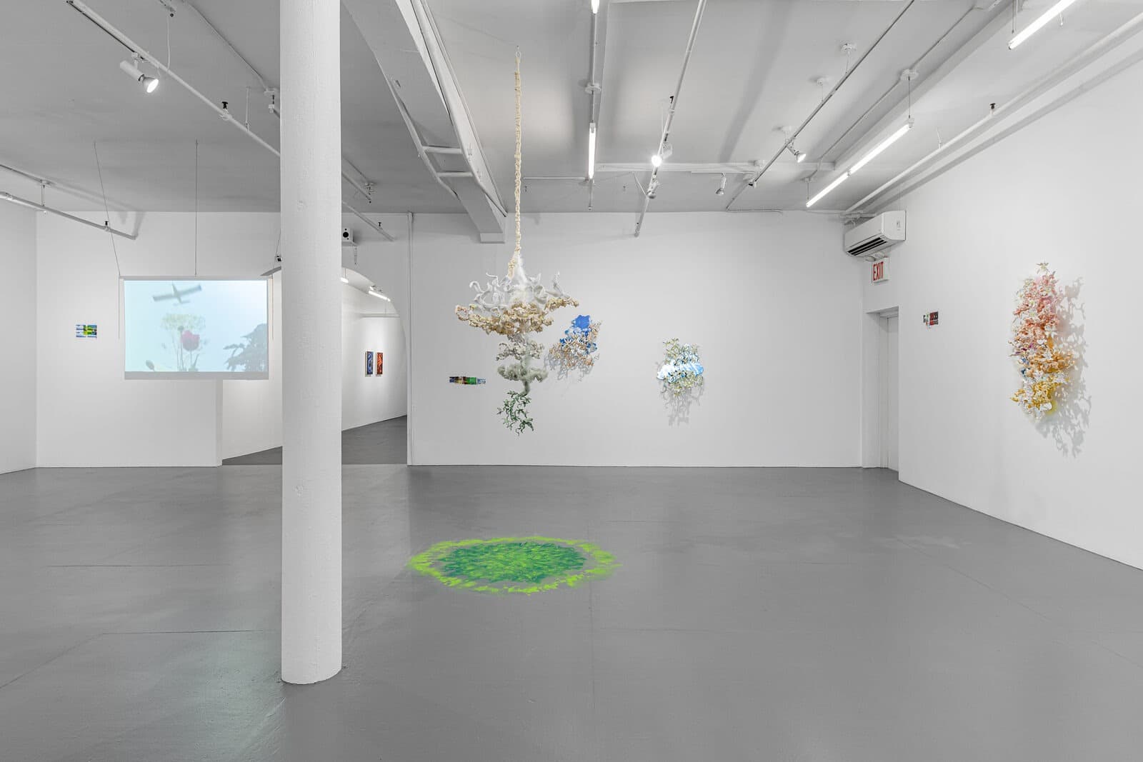Installation view