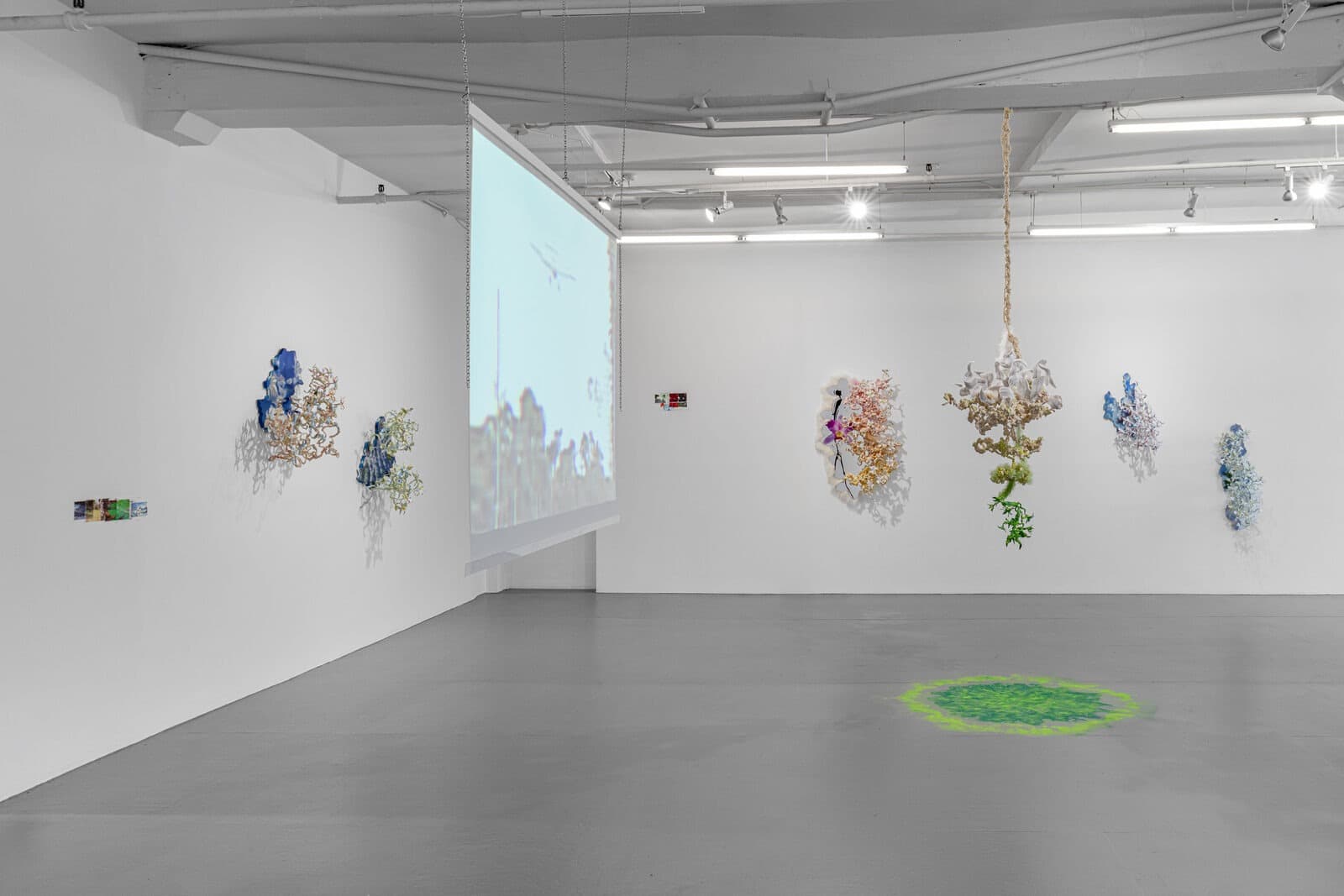 Installation view
