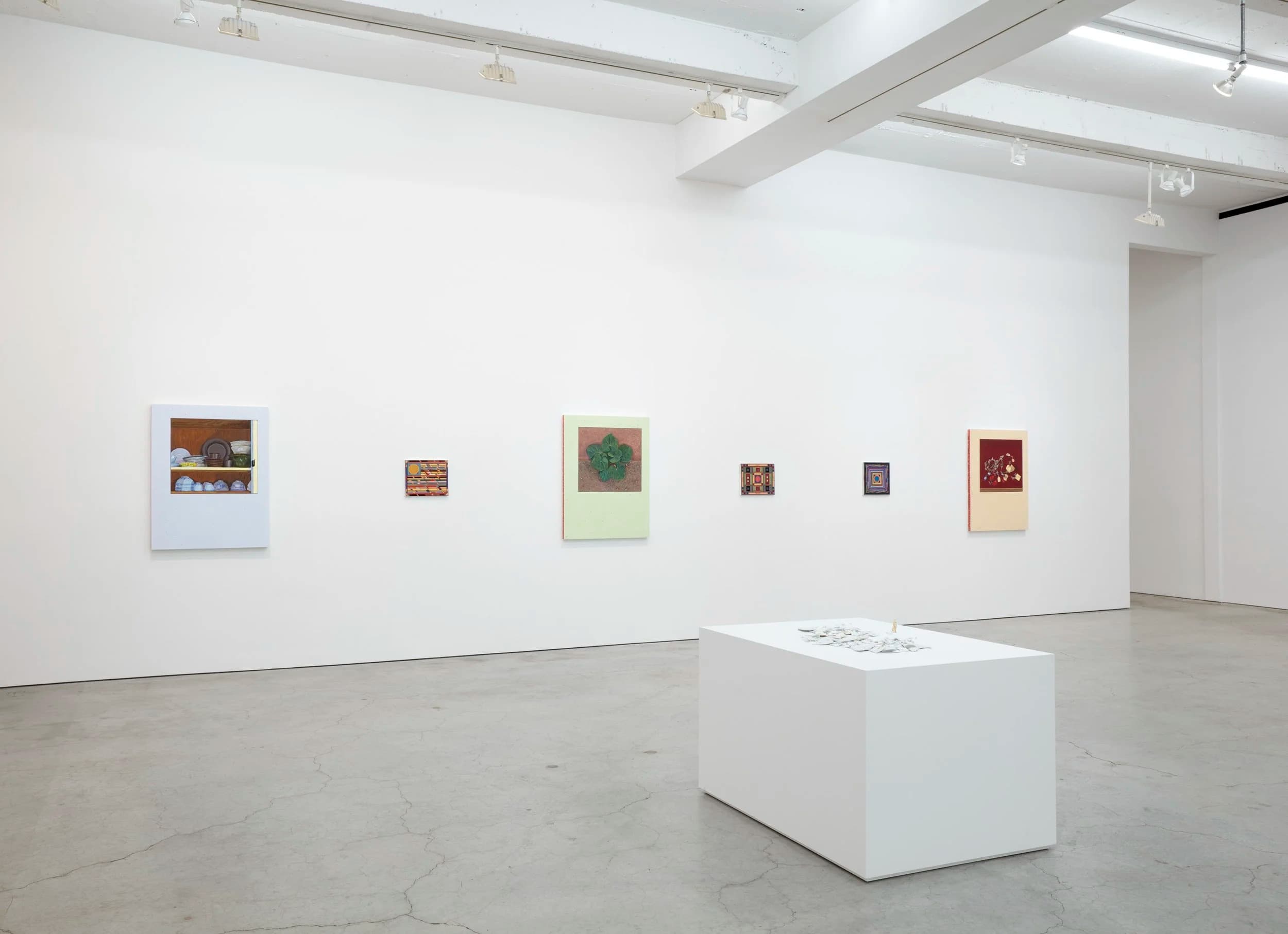 Installation view
