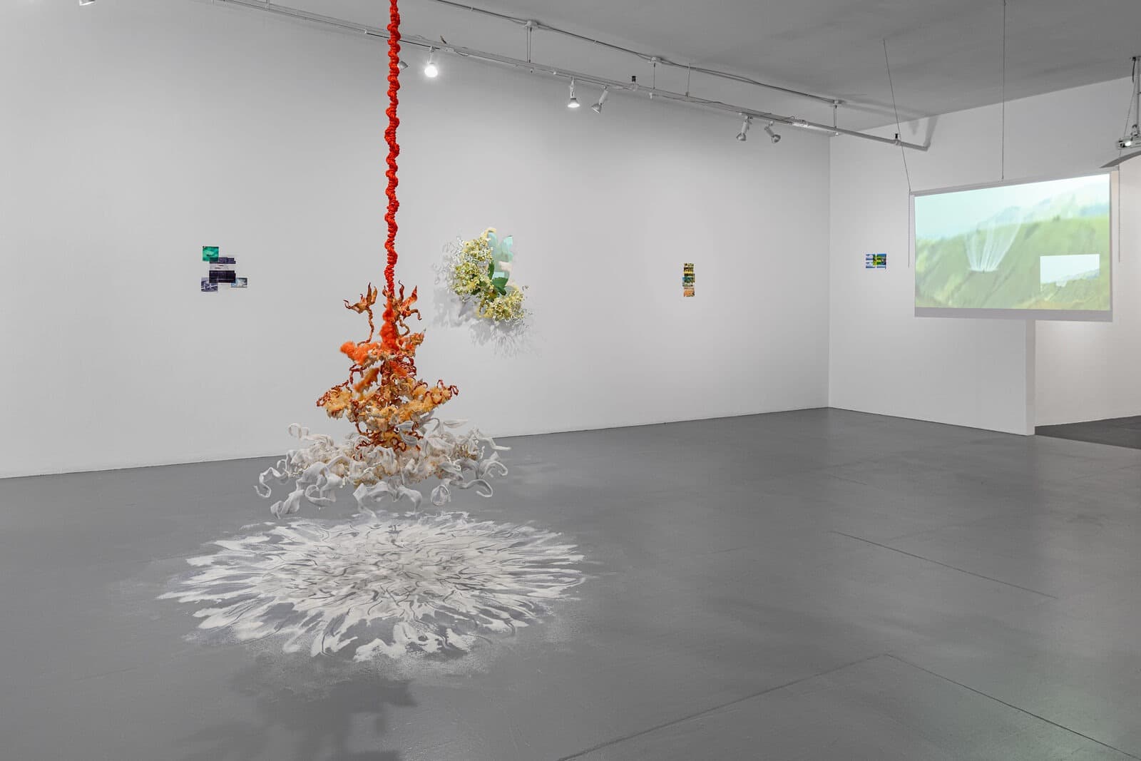Installation view