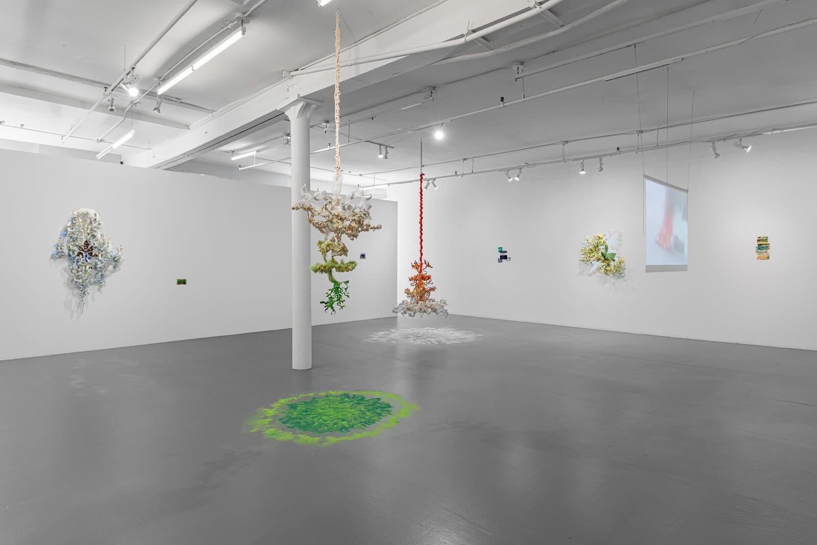 Installation view