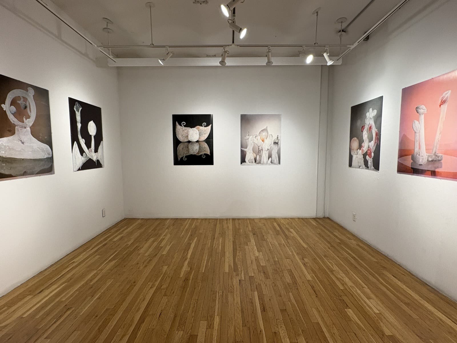 Installation view 4 of 5