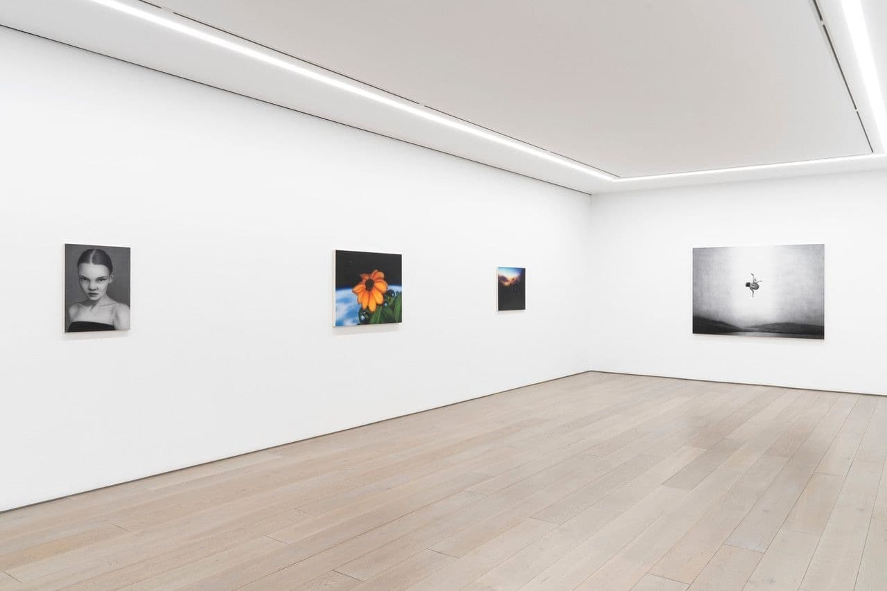 Installation view 4 of 4