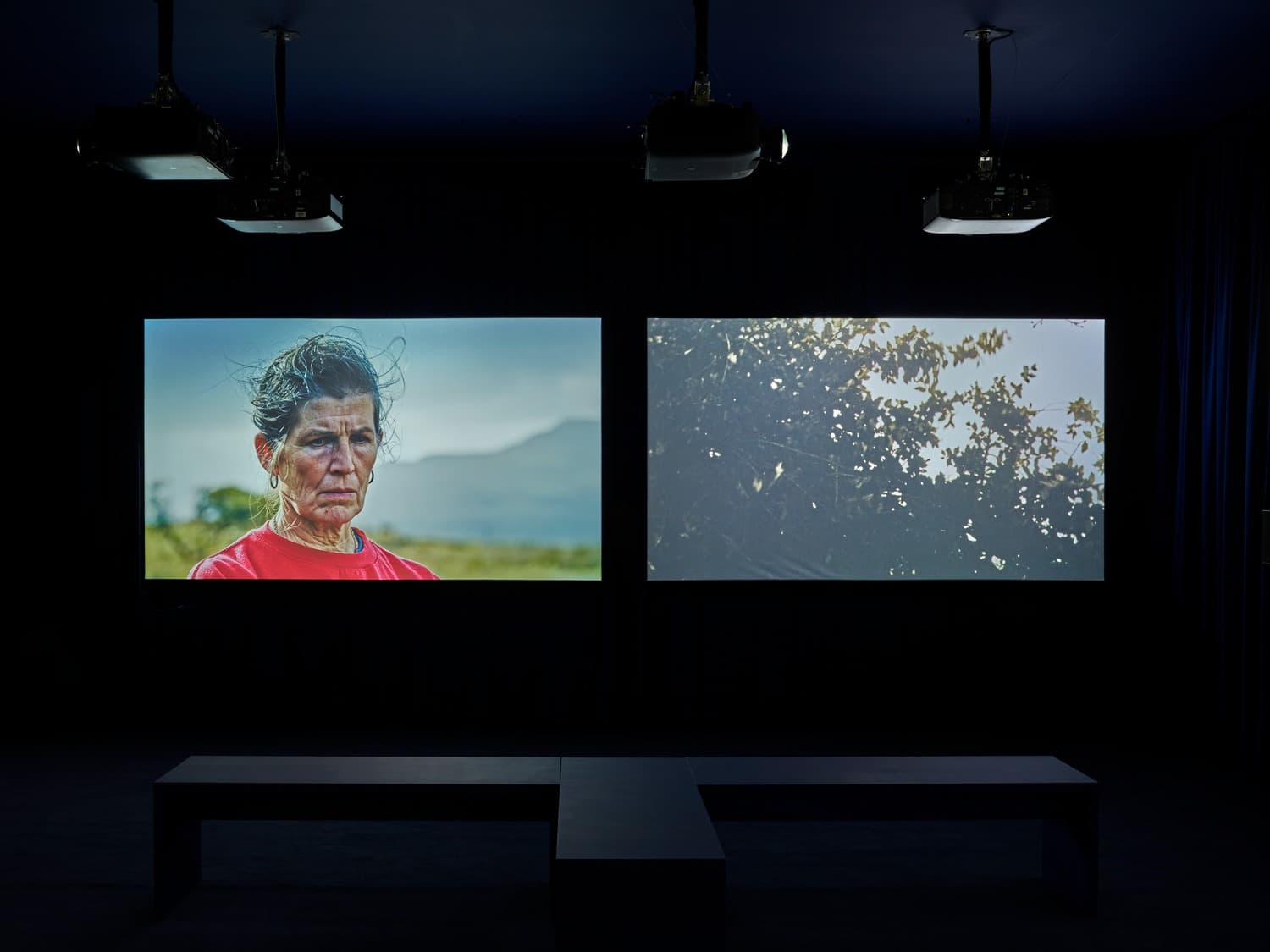 Installation view
