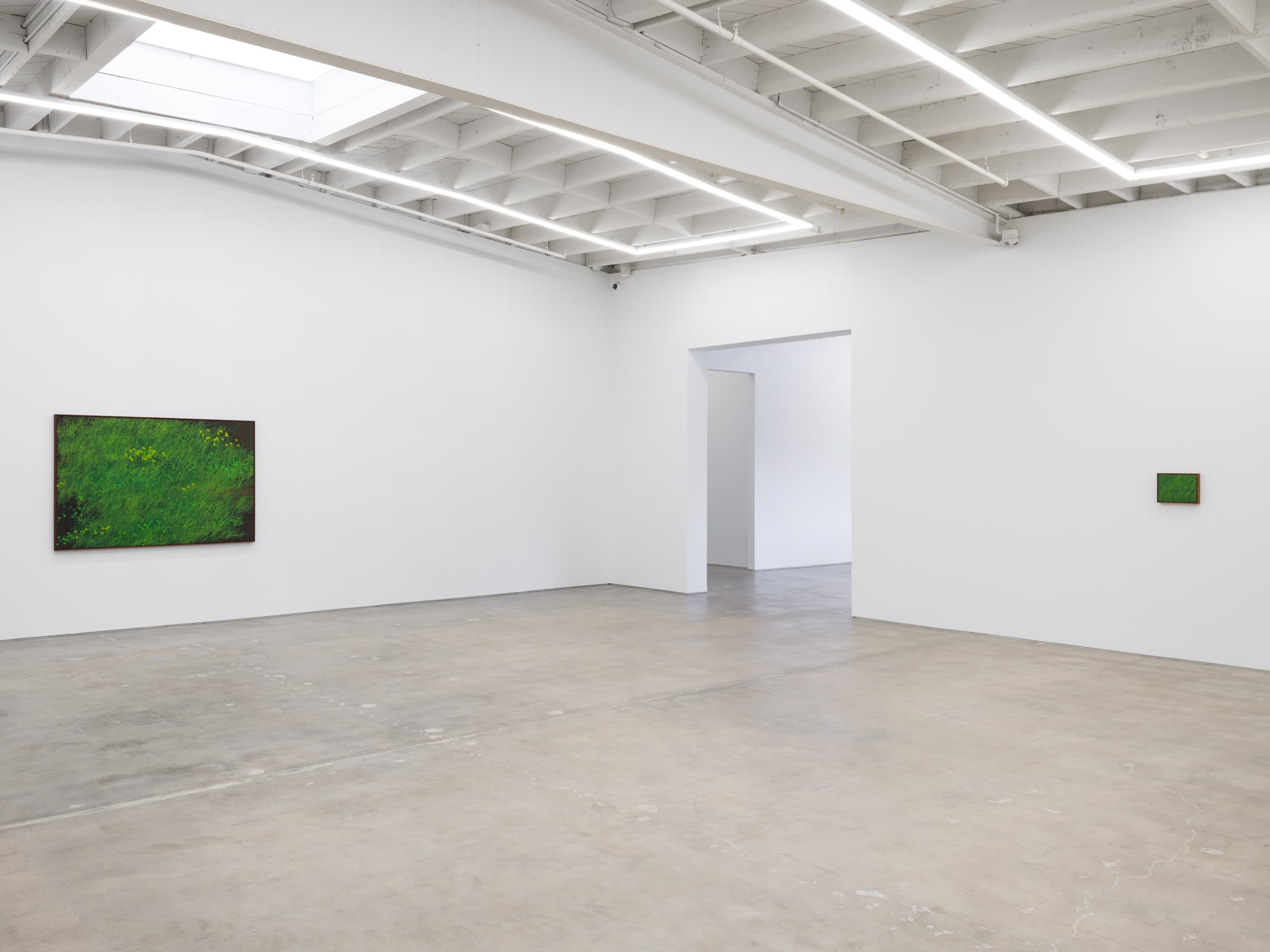 Installation view