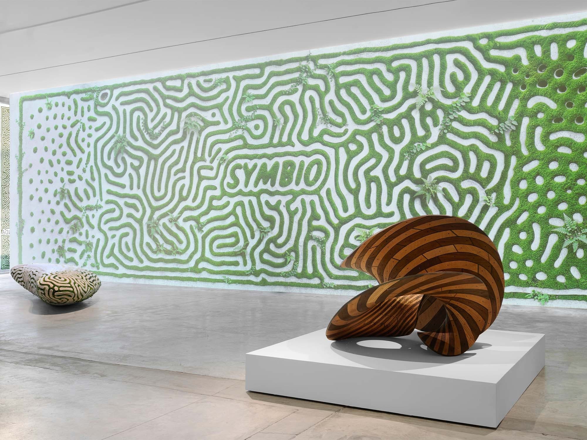 Installation view