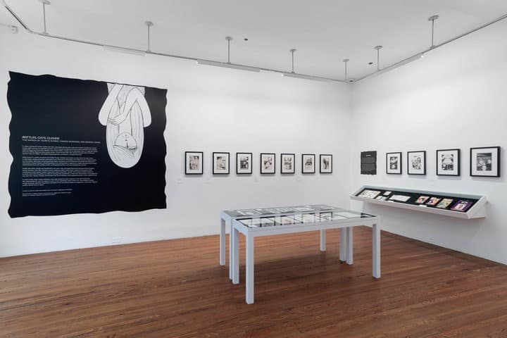 Installation view 2 of 3