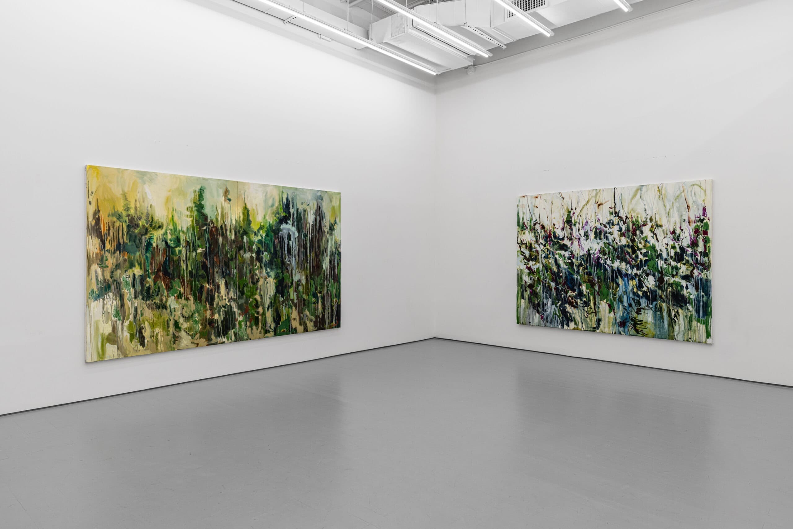 Installation view