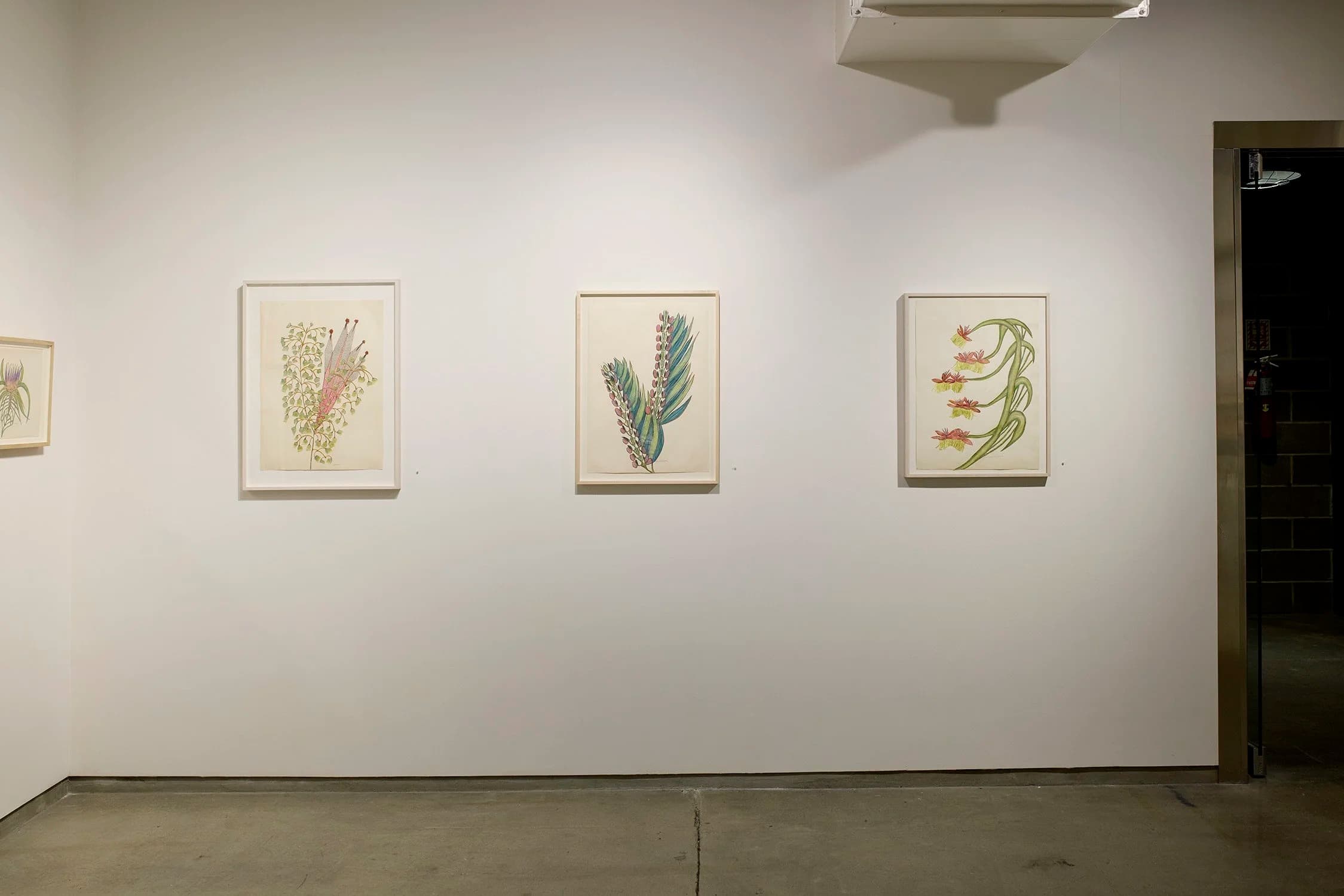Installation view
