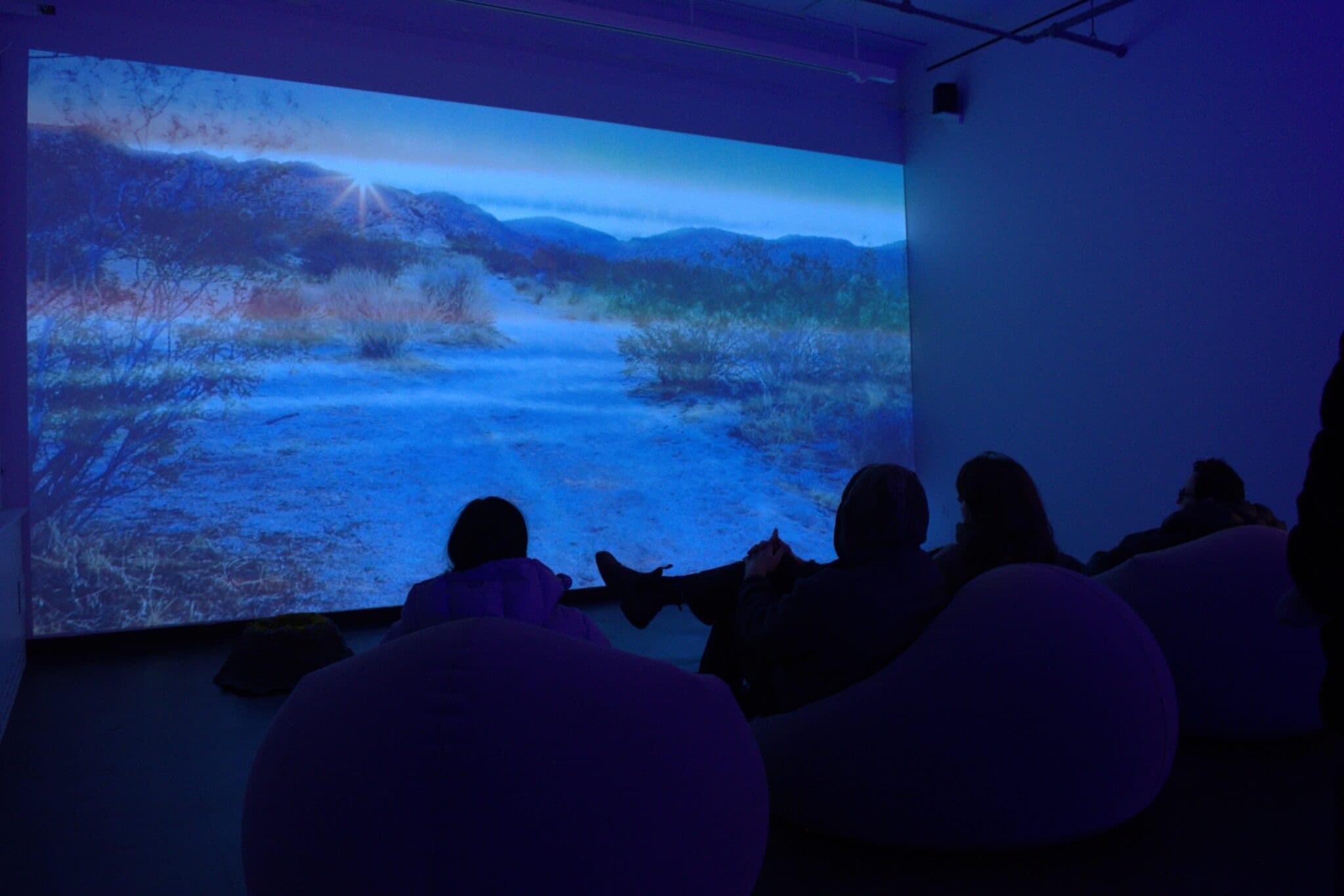 Installation view