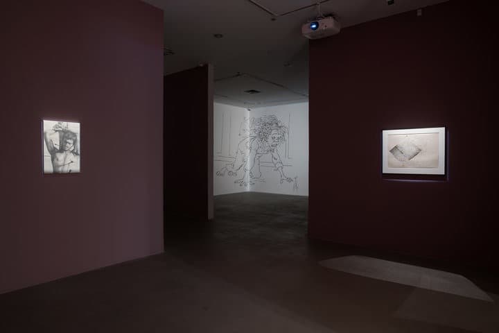 Installation view 3 of 5
