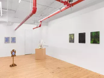 Installation view