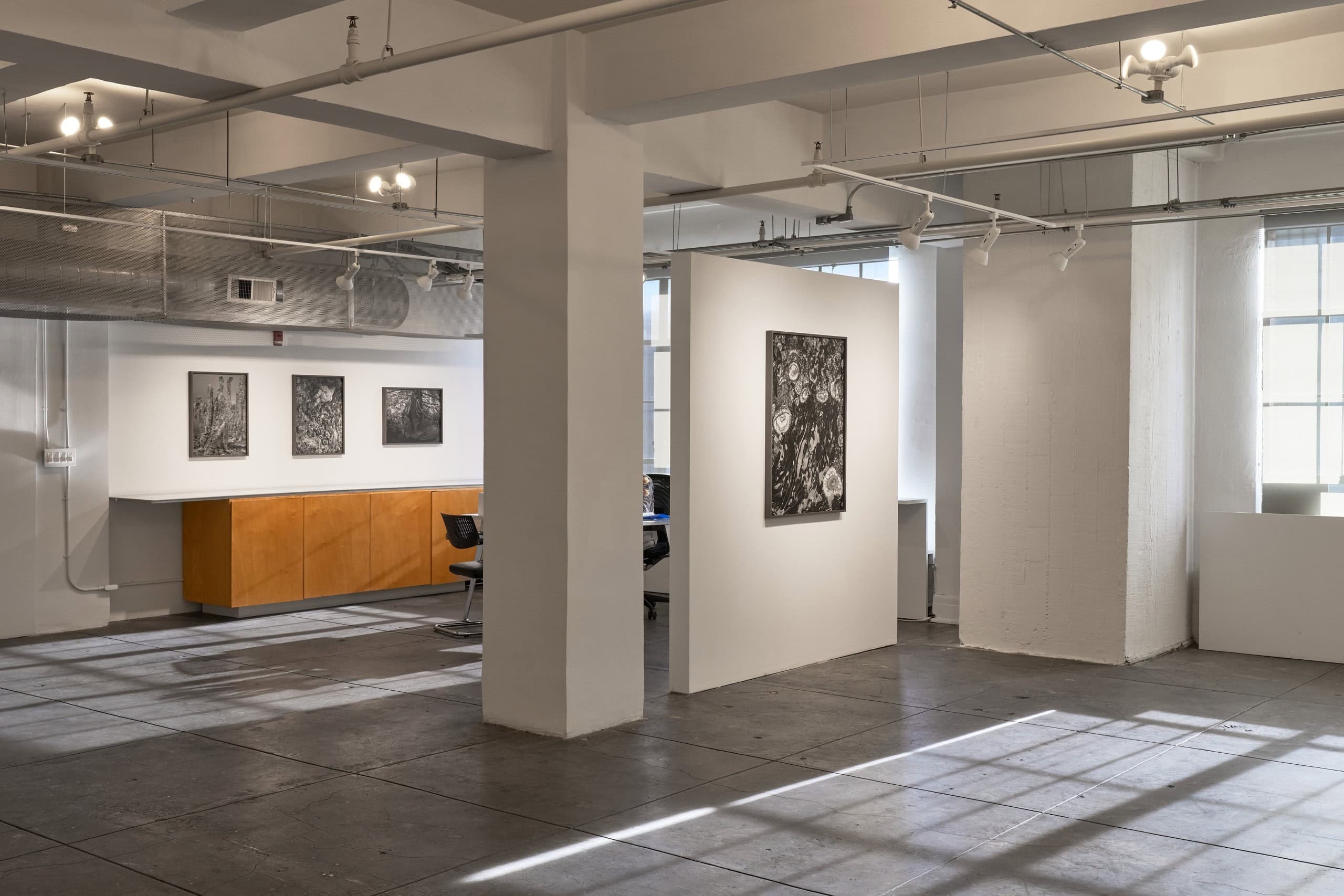 Installation view
