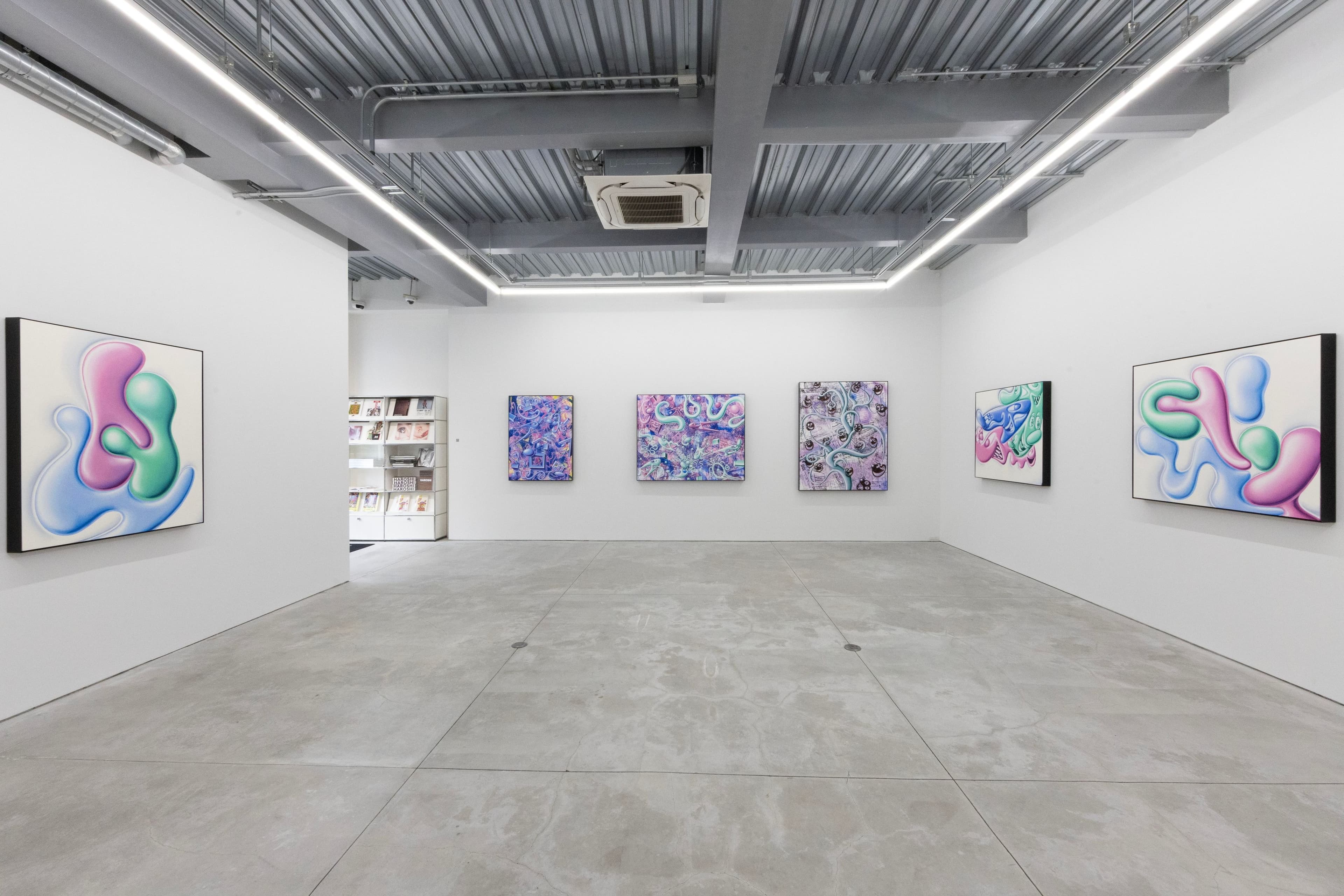 Installation view