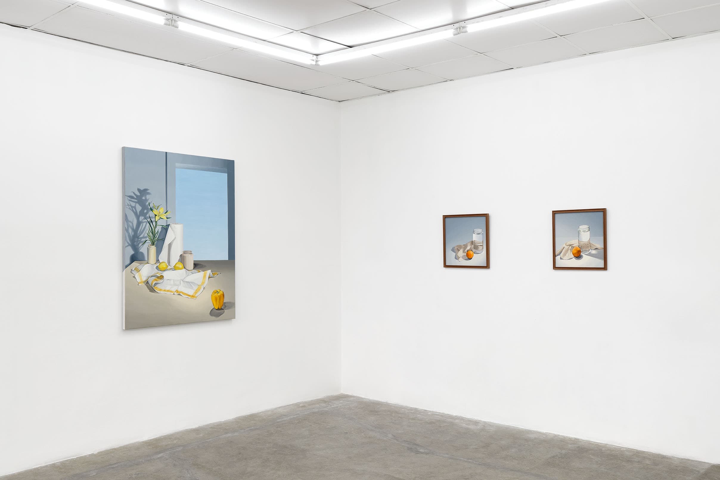 Installation view