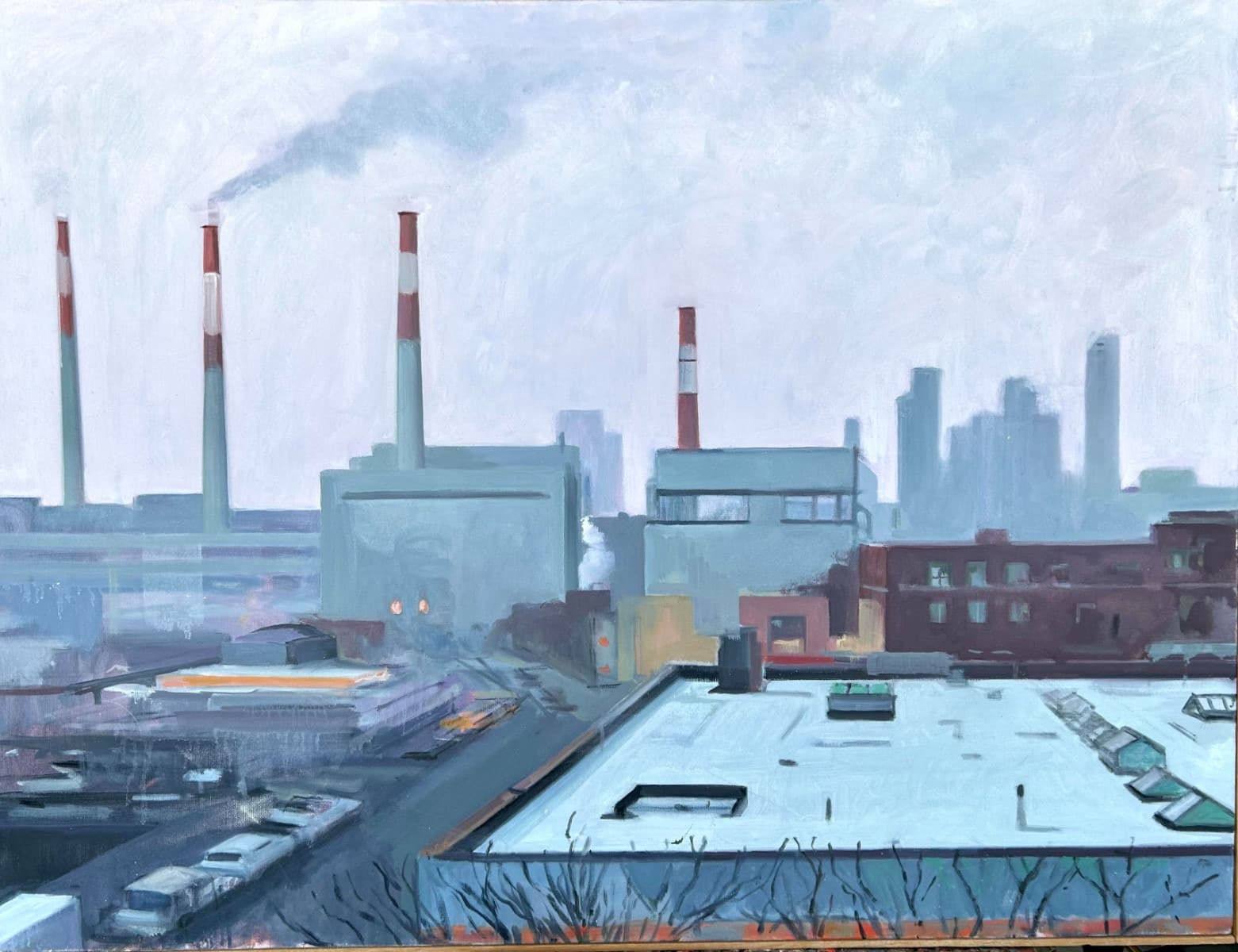 Diana Freedman-Shea