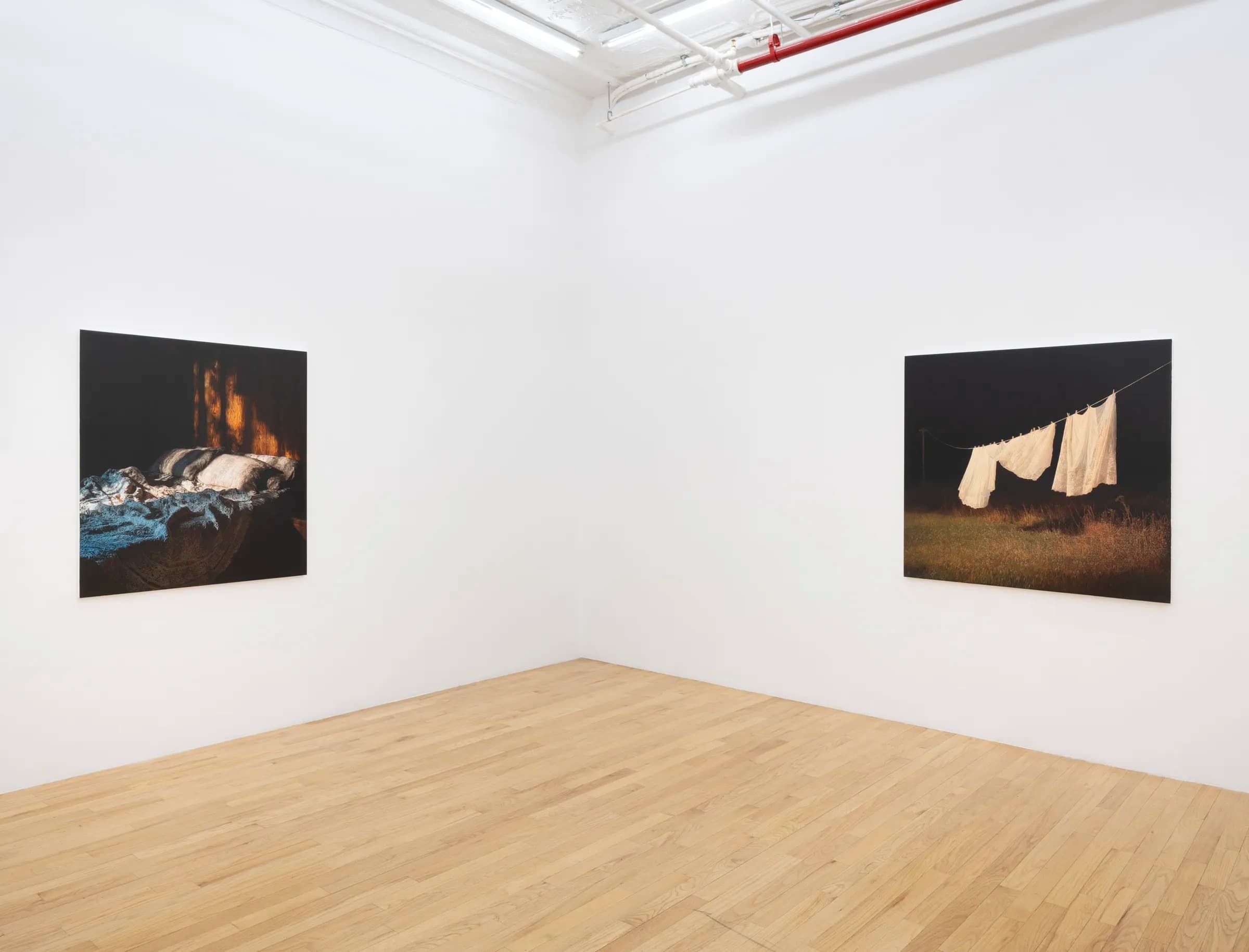 Installation view 3 of 5