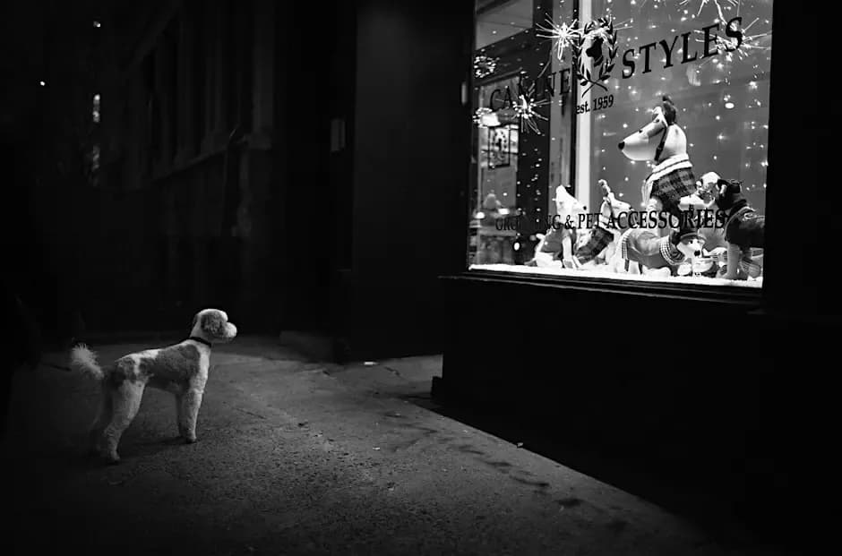 Street Scenes
