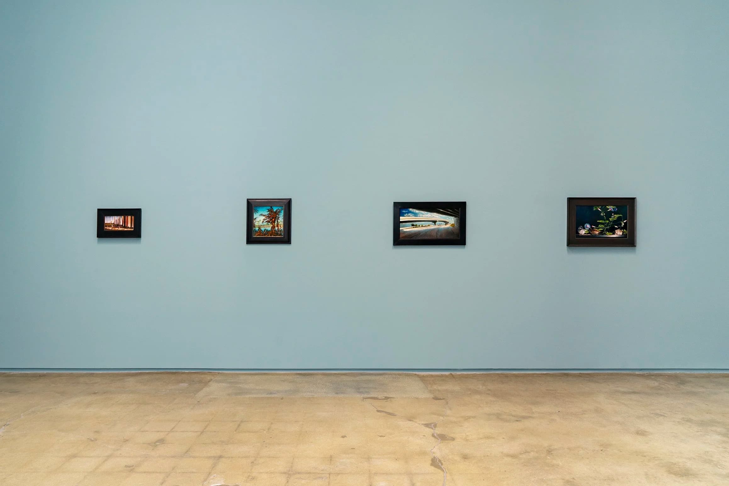 Installation view 6 of 6