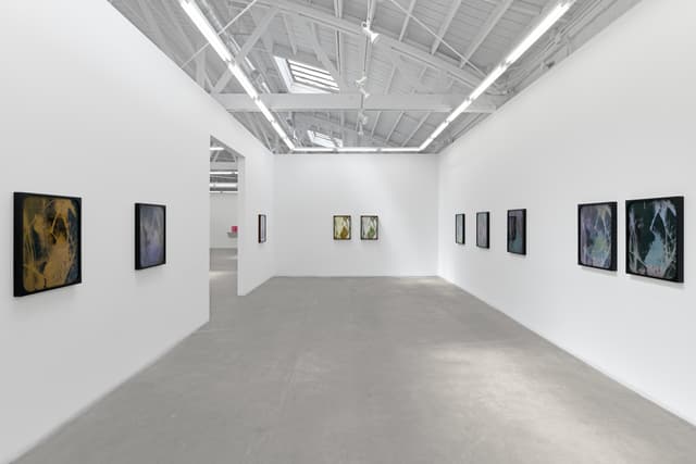 Sherin Guirguis, Into the Lake of Fire, installation view, Luis De Jesus Los Angeles, 2026