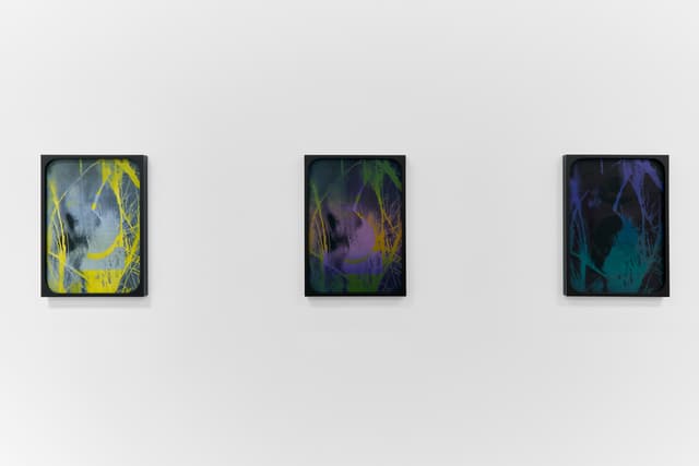 Sherin Guirguis, Into the Lake of Fire, installation view, Luis De Jesus Los Angeles, 2026