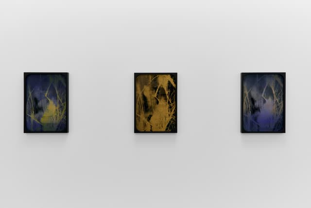 Sherin Guirguis, Into the Lake of Fire, installation view, Luis De Jesus Los Angeles, 2026