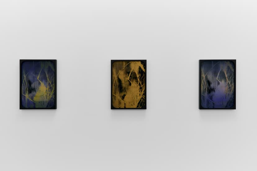 Sherin Guirguis, Into the Lake of Fire, installation view, Luis De Jesus Los Angeles, 2026
