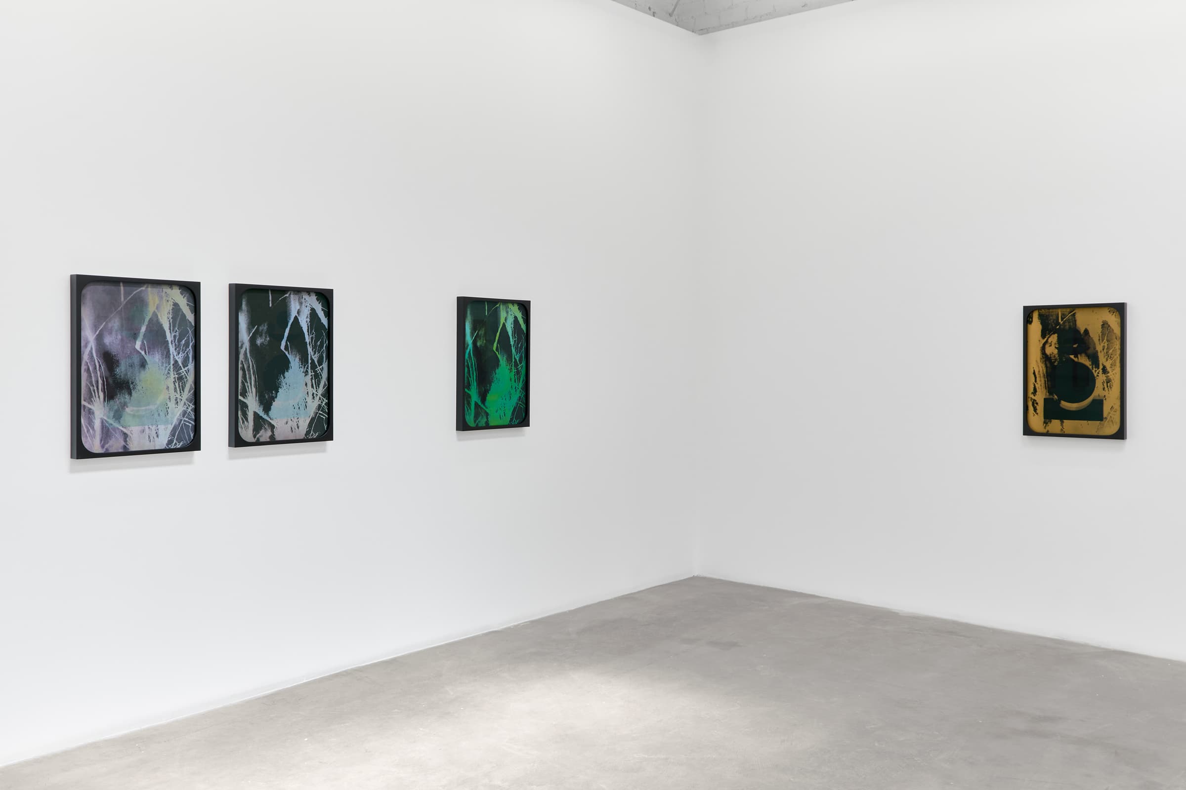 Sherin Guirguis, Into the Lake of Fire, installation view, Luis De Jesus Los Angeles, 2026