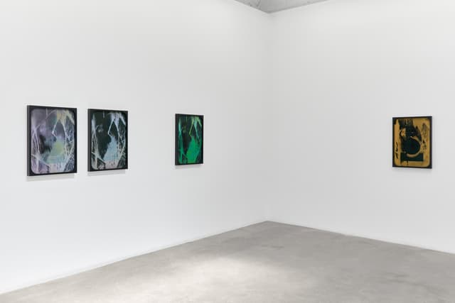 Sherin Guirguis, Into the Lake of Fire, installation view, Luis De Jesus Los Angeles, 2026
