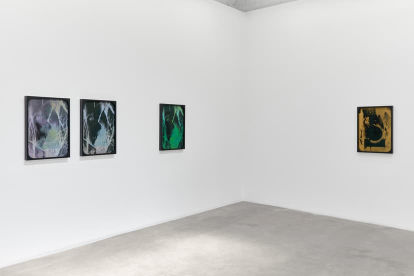 Sherin Guirguis, Into the Lake of Fire, installation view, Luis De Jesus Los Angeles, 2026