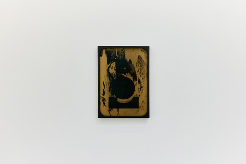 Sherin Guirguis, Into the Lake of Fire, installation view, Luis De Jesus Los Angeles, 2026
