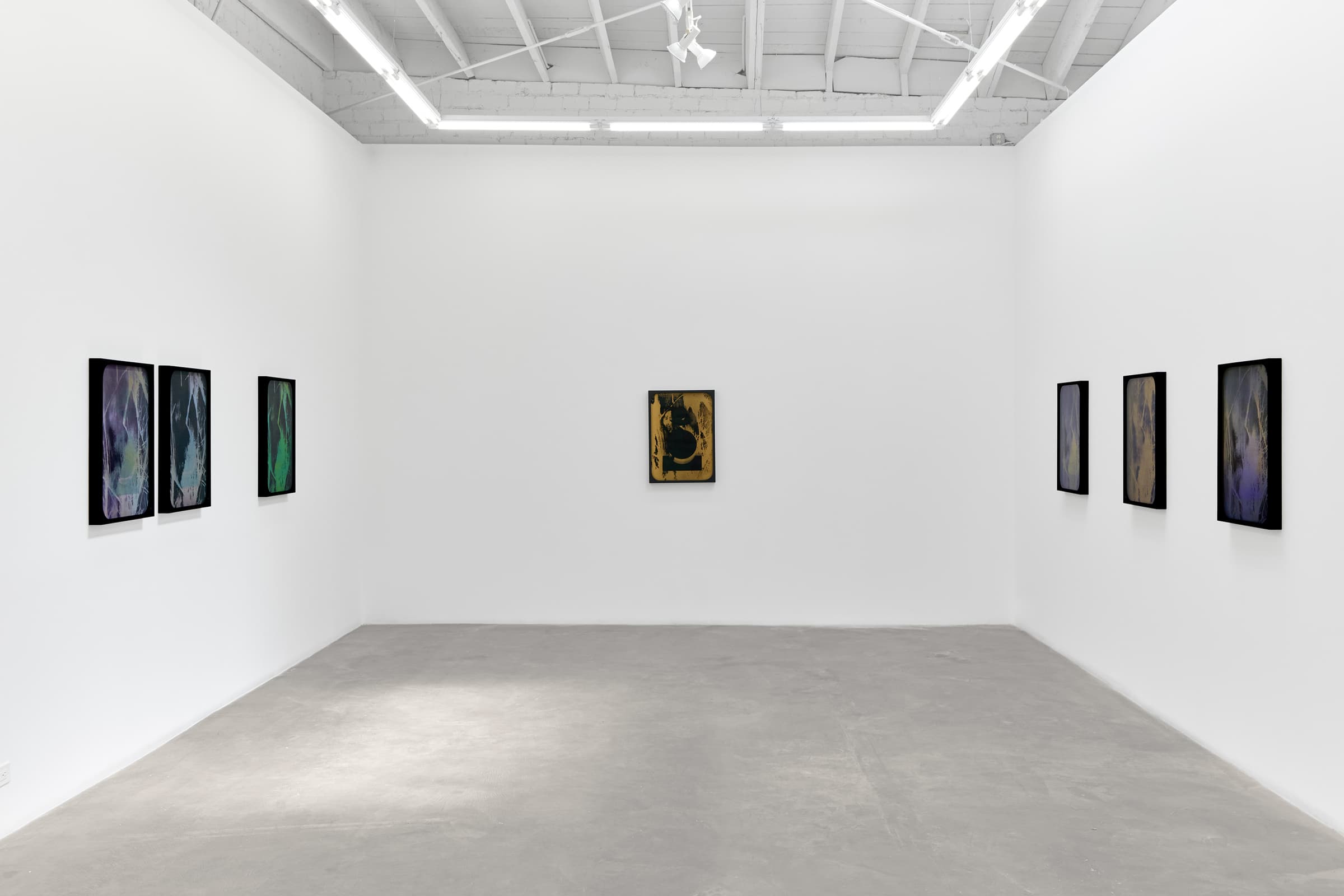 Sherin Guirguis, Into the Lake of Fire, installation view, Luis De Jesus Los Angeles, 2026