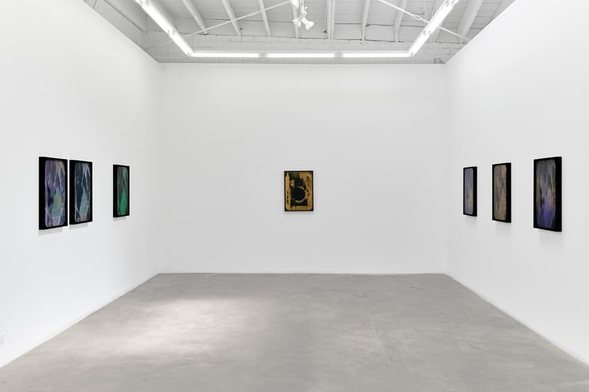 Sherin Guirguis, Into the Lake of Fire, installation view, Luis De Jesus Los Angeles, 2026
