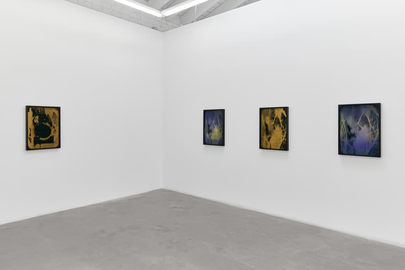 Sherin Guirguis, Into the Lake of Fire, installation view, Luis De Jesus Los Angeles, 2026