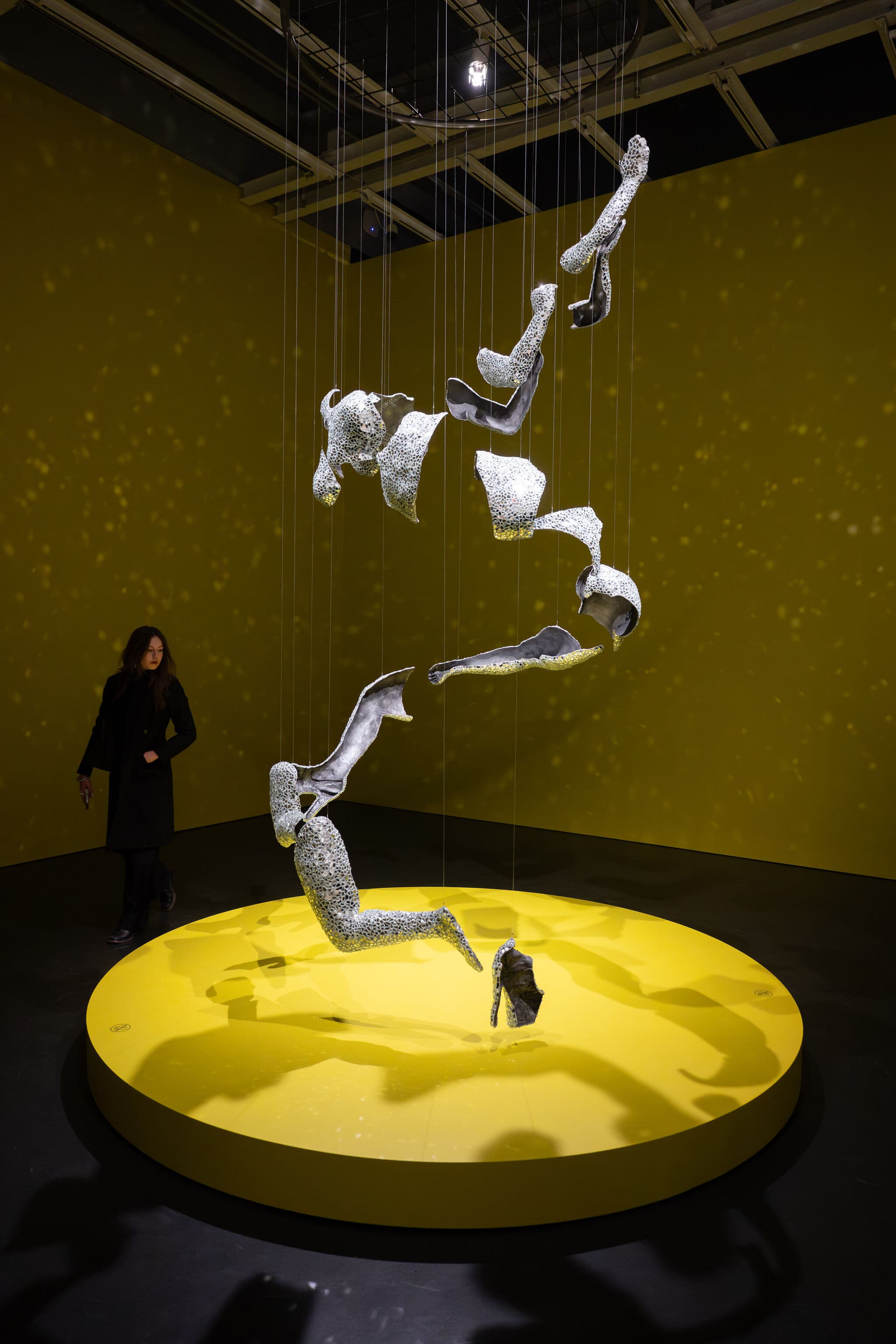Installation view